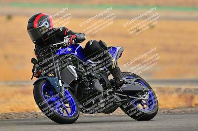 media/Jan-25-2025-2WTD (Sat) [[229346f7e8]]/C Group/Session 3 (Turn 4)/